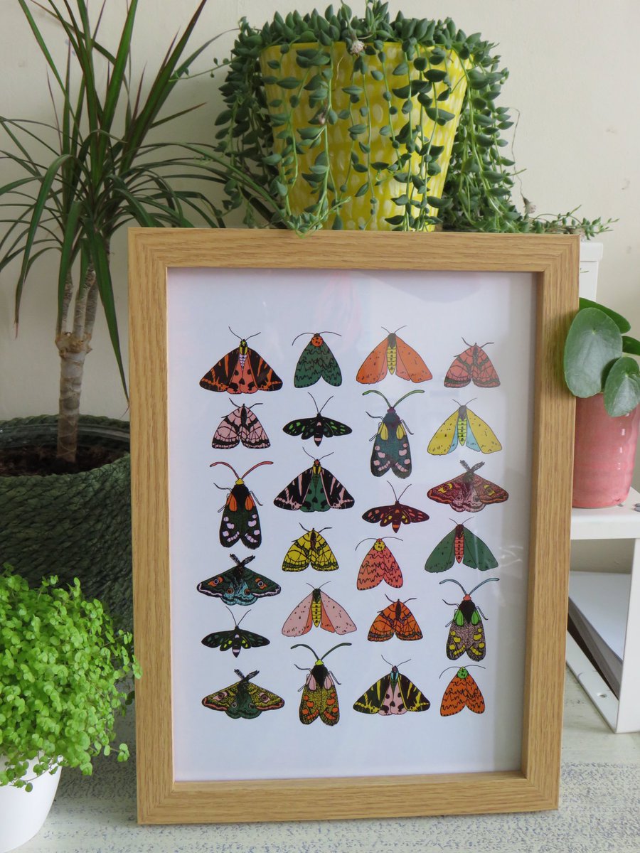 I’ll start! Hi I’m Kathryn, I sell prints, tote bags, greeting cards, notebooks and stickers on my Etsy.  http://www.etsy.com/shop/KathrynChurnDesigns