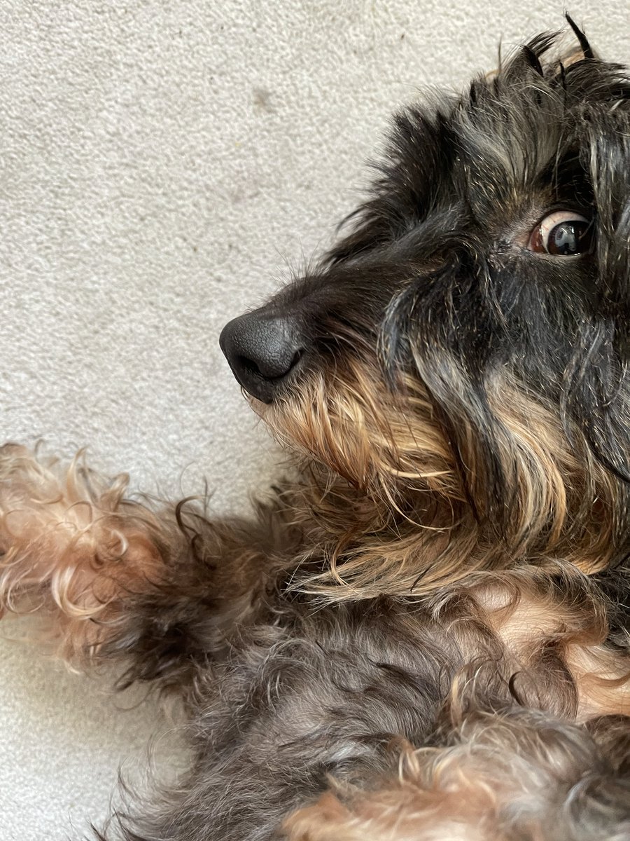 Giving good stink eye 👁