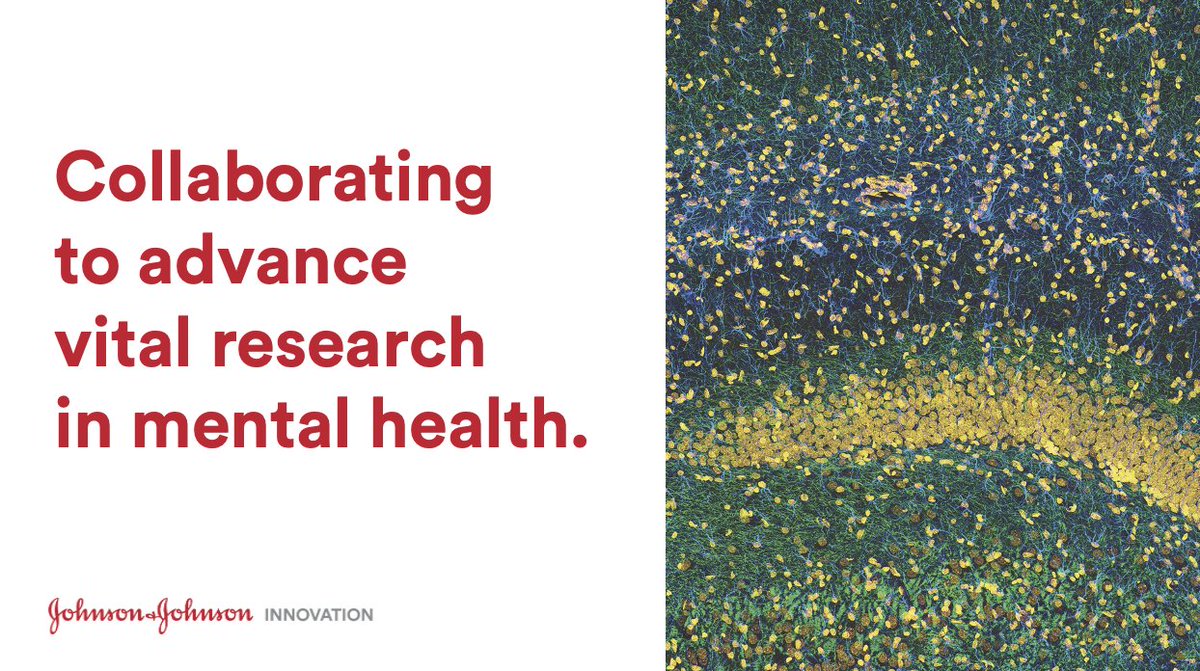 JNJInnovation's tweet photo. #JNJ Innovation is proud to have facilitated a #collaboration between @KoaHealth and @JanssenGlobal which aims to improve the lives of patients with difficult to treat #depression by using tailored digital #CBT with pharmacological therapeutics. Learn more:https://t.co/Mz258MNQgw https://t.co/PMNshtgLEg
