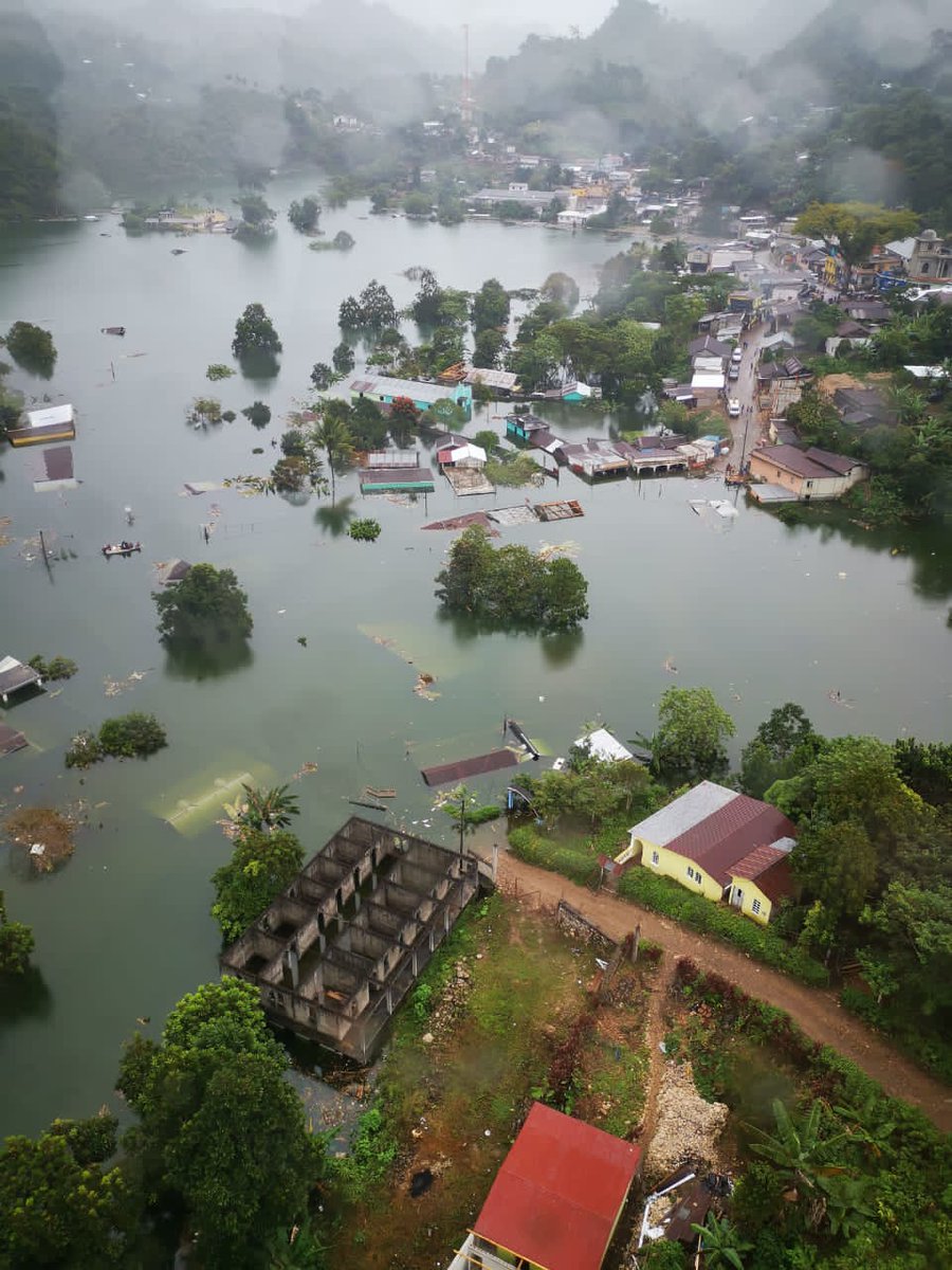 Brian Gallagher tweet media