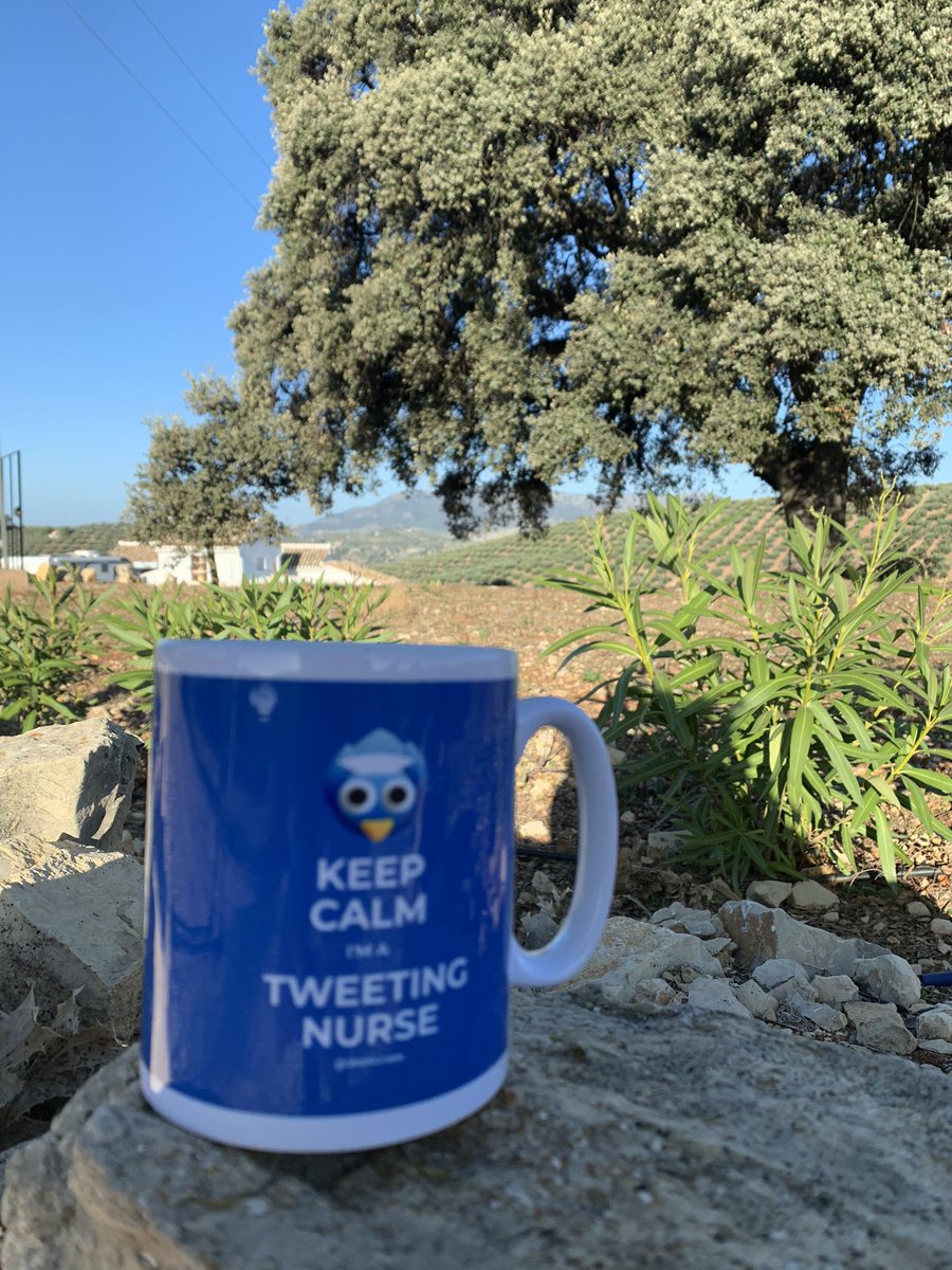 nickygen's tweet photo. Blue skies for miles #lockdownspain https://t.co/TG2Vi6rYJH