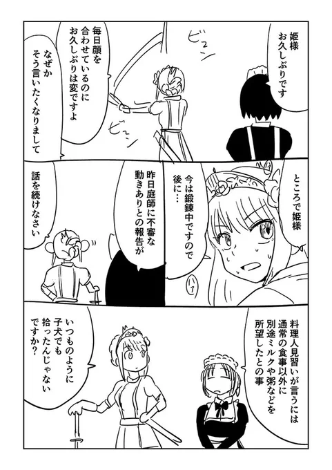 最強の姫騎士と白バラ(再掲)続きの続き
 (1/4) 
