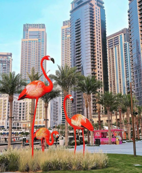 millcentral's tweet photo. This picturesque place is a few minutes away from Millennium Central Downtown Dubai. Can you guess the location?
#DubaiLocationGuru #MillenniumCentralDowntownDubai #MyDubai #MyMillennium https://t.co/jvX0MKRpyb