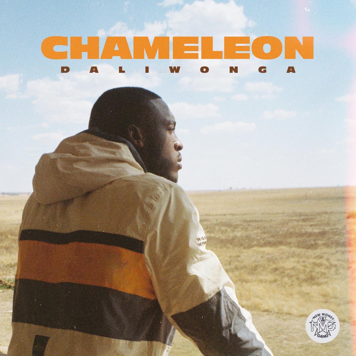 DjMaphorisa's tweet photo. Dropping Midnight Chameleon by @DaliWongaSA https://t.co/h1JVWbTCY0