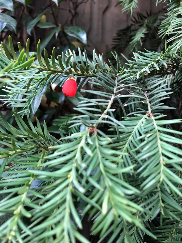 alevcedim's tweet photo. Ne aradığını ya da ne istediğini bilmeyen, ne yaşadığını da anlayamaz...

https://t.co/V5XM0LVIls https://t.co/SDYclECkOy