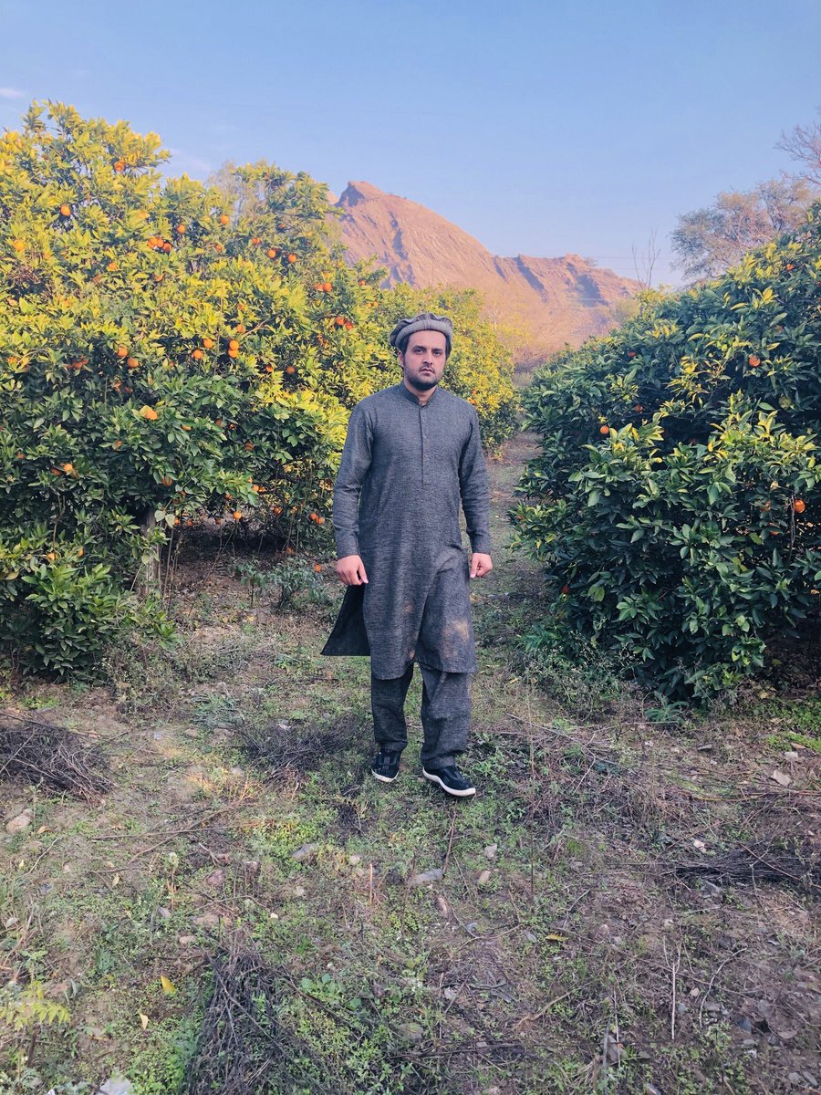 bill_alll's tweet image. #پکول #pakoOL 😉😜😎😂