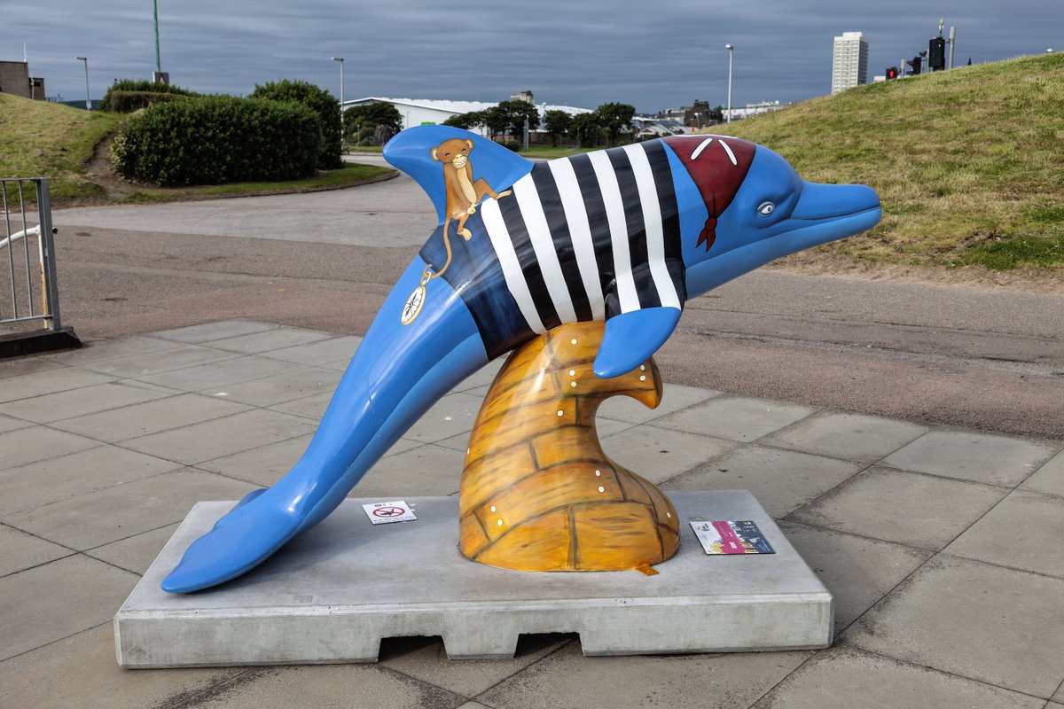 The dolphins are back! 😍 Following the hugely successful 2014