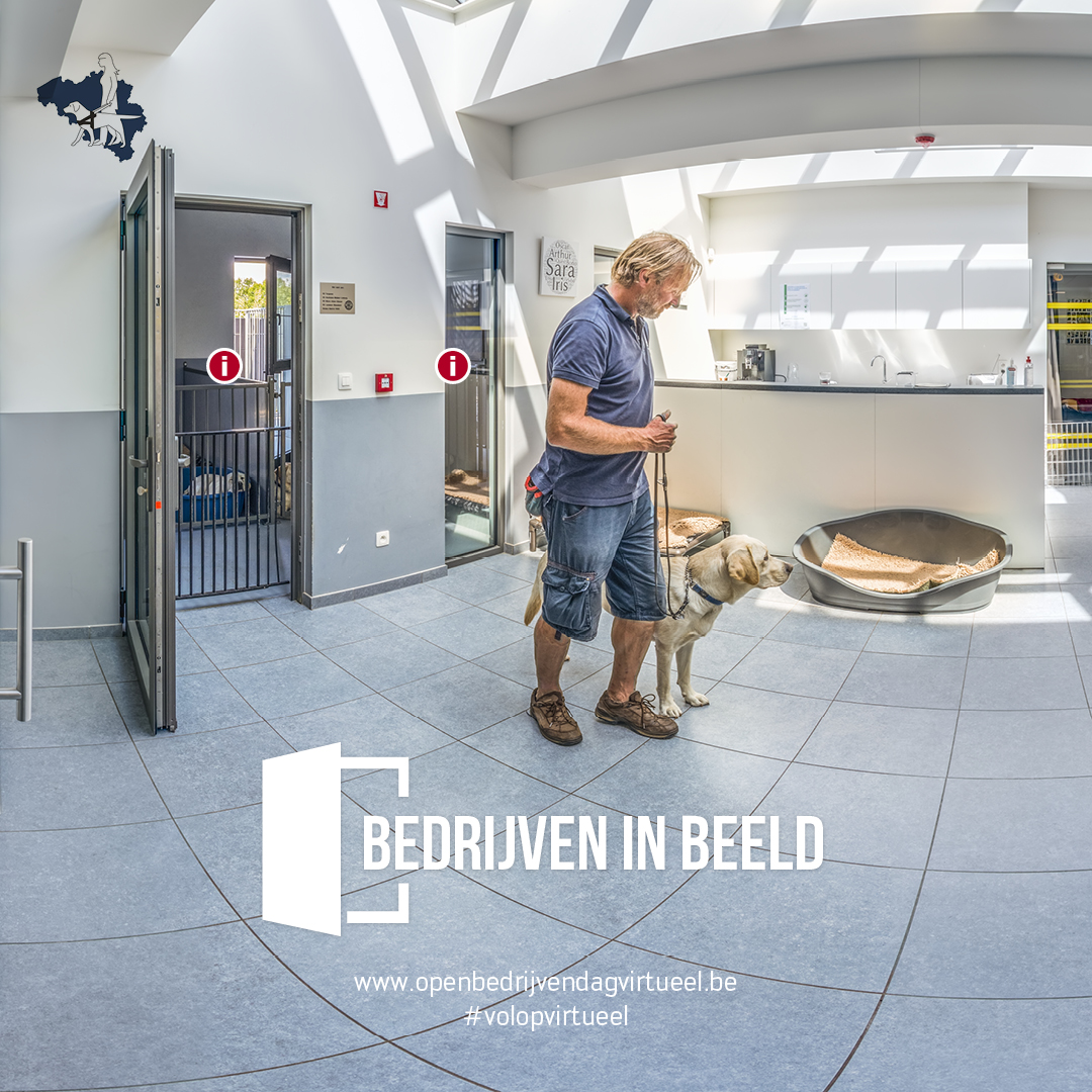 OpenBedrijven's tweet photo. #bedrijveninbeeld👀
Het Belgisch Centrum voor Geleidehonden is een mobiliteitsorganisatie die sinds 1990 blindengeleidehonden opleidt voor personen met een visuele beperking. 

Ontdek hun virtuele tour via 👉🏻https://t.co/HGDLJndLF8

#openbedrijvendag #volopvirtueel https://t.co/IjiI2bgdTG