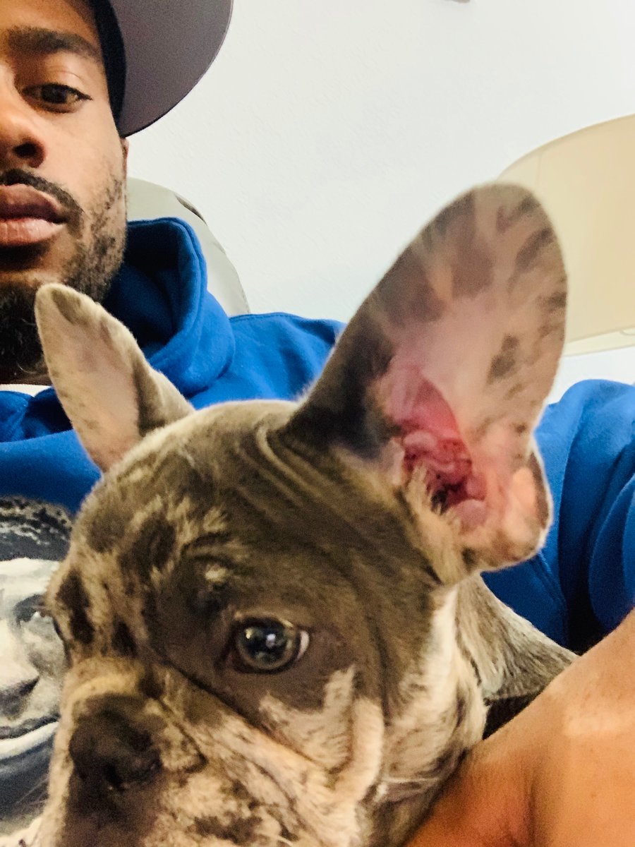 GoCrazyDess's tweet photo. Dior Dior 🐶 https://t.co/qFXpJl8F3E