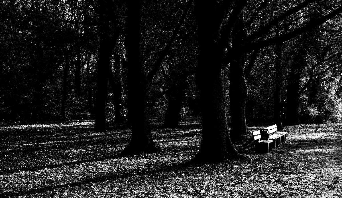 JEDES GEWALTSAME, 
SPRUNGHAFTE 
IST MIR IN DER SEELE ZUWIDER;
DENN ES IST NICHT NATURGEMÄSS. 

Goethe 

⁦<a href="/AHildebrandt70/">Alex Hildebrandt</a>⁩ 
⁦@goethe_jw⁩ 
⁦<a href="/goethemuseum/">Goethe-Museum</a>⁩ 
⁦<a href="/GoetheHeute/">Goethe_heute</a>⁩

#Besonnenheit