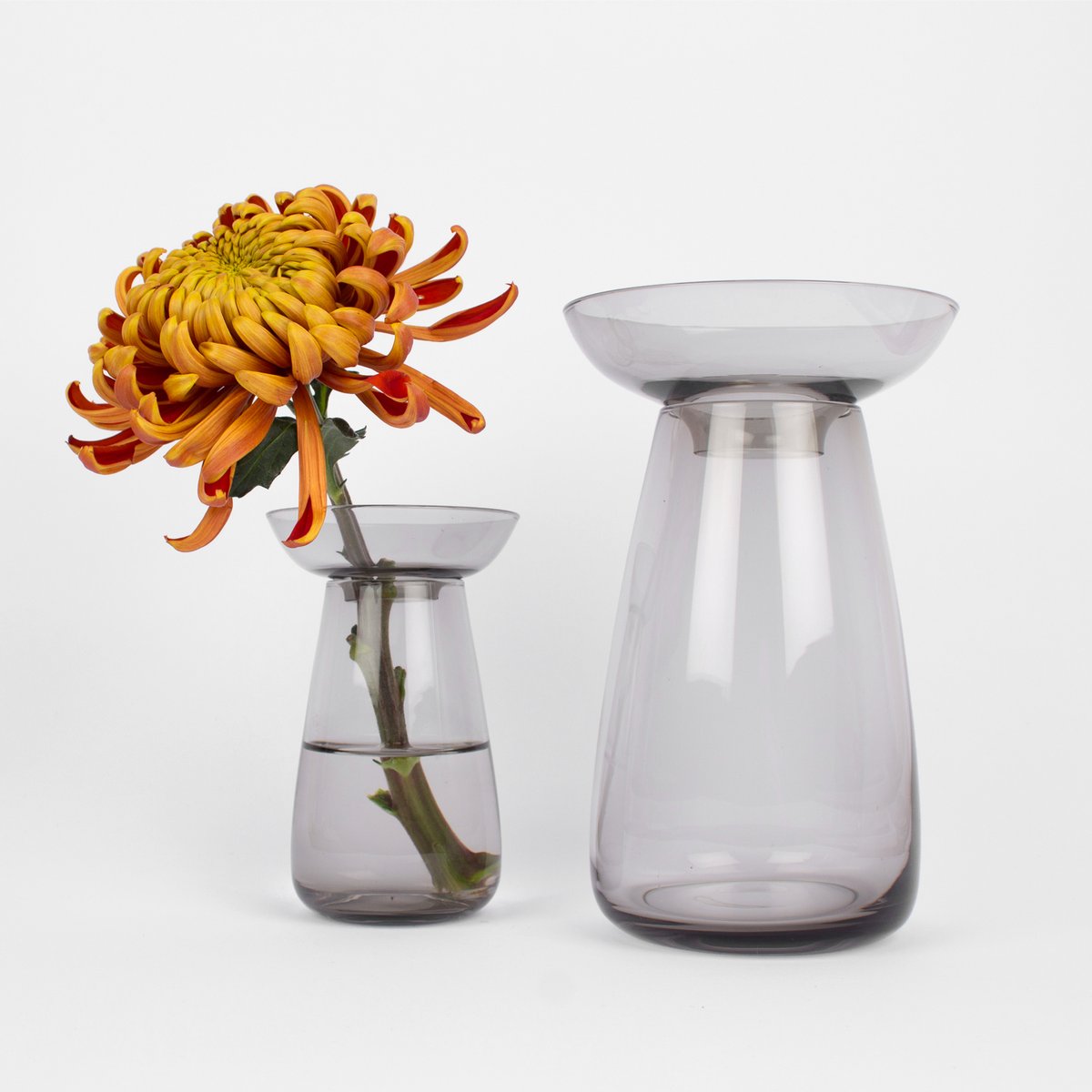 A recent addition to our new online shop are the Aquaculture vases by Kinto, #Japan. These two piece vases are perfect for cut stems and propagating from cuttings or from bulbs/seeds such as hyacinth or avocado.

Visit us at theplantroom.shop

#supportindependent #shopsmall