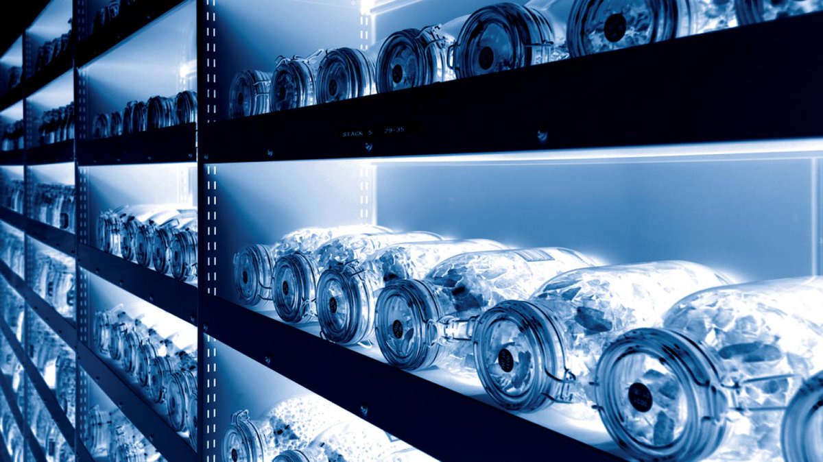 Happy 20th birthday to the @kewscience Millennium Seed Bank partnership! Holding 2.3 billion living seeds from 39000 species in a bomb-proof vault, it could be considered the most biodiverse point on Earth kew.org/science/collec… #MSBP20