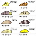 初代ポケモンの完璧すぎるイラスト イラストがとってもかわいいです 話題の画像プラス 初代ポケモンの完璧すぎるイラスト イラストがとってもかわいいです 話題の画像プラス