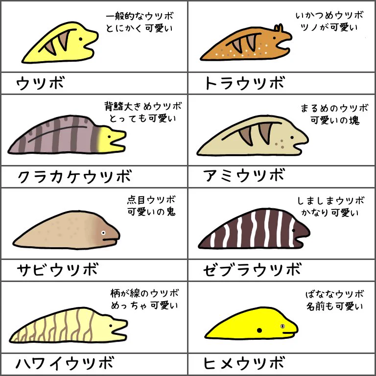 ウツボ一覧表のイラストがとってもかわいい。
