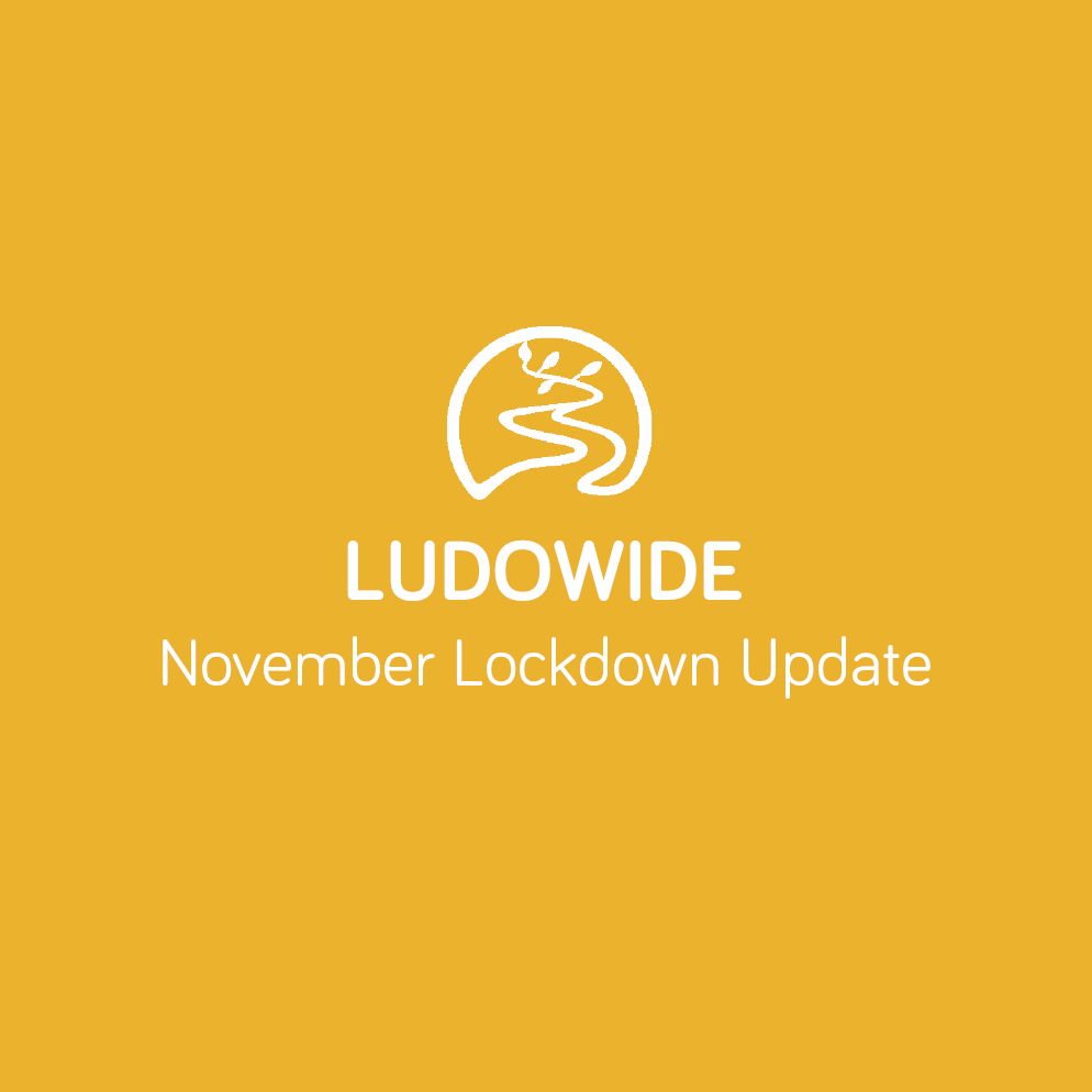 ludowide's tweet photo. LUDOWIDE November Lockdown Update 🌳 - Stay Safe! https://t.co/BZG1ZwGvIS