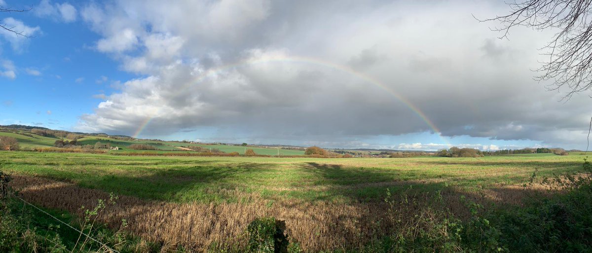SimonRoweMBE's tweet image. Intersting sky on my walk today.