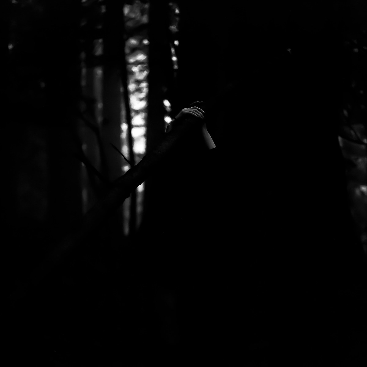 alcheme's tweet photo. Storefront Church (Lukas Frank) signs to Sargent House, releases "The Gift"
Storefont Church is the project of Lukas Frank (who's also drummed in Phoebe Bridgers' band and appeared on her albums), and he ... https://t.co/iwospFlr3f https://t.co/JTTT3TDBEx