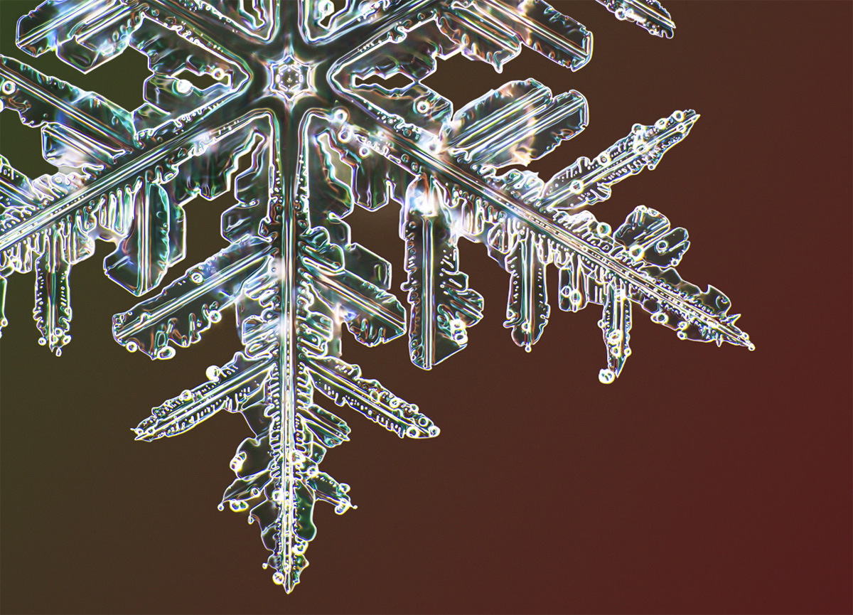 Rainmaker1973's tweet photo. Photographer Nathan Myhrvold has captured the most detailed images of snowflakes on record thanks to a custom-built high-resolution cooled camera he made to specifically deal with the numerous challenges of photographing the delicate ice crystals https://t.co/AdIMsOlGrw https://t.co/5MdJHvMFVW