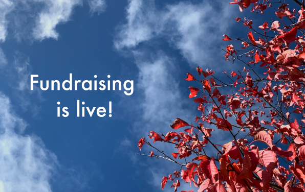 TreeTop_UK's tweet photo. Fundraising update!

We’ve gone live on Angel Investment Network!

Check out our pre-seed funding pitch and feel free to share with anyone who wants to get involved!

One step closer to fighting climate change by restoring nature 

https://t.co/Ni4Ghh7CkC https://t.co/ygBuy0j6W7