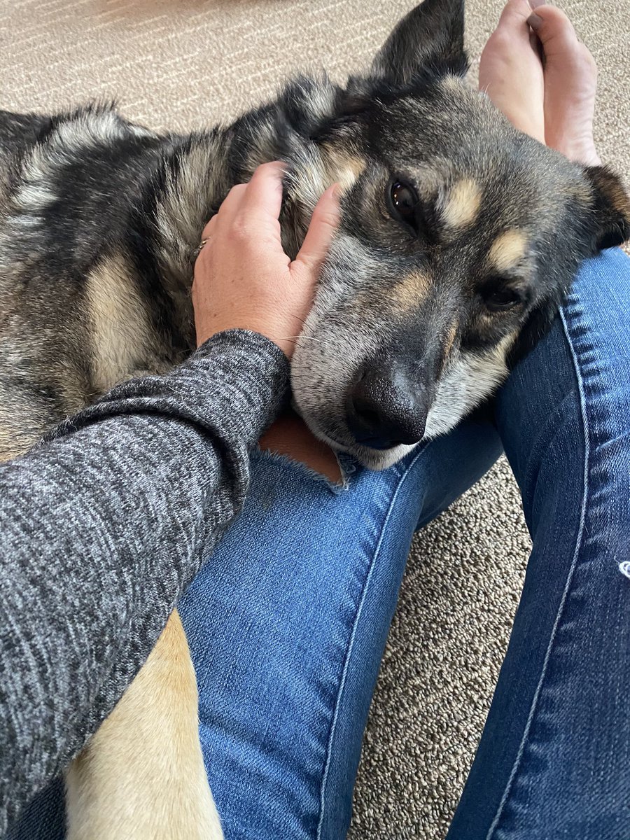 Today on #GTMD2020 I’m supporting <a href="/chdogrescue/">Coco's Heart Dog Rescue</a>, <a href="/Concordia_MN/">Concordia College</a> and Dress for Success St Paul. LMK if you’d like any information on these wonderful organizations.