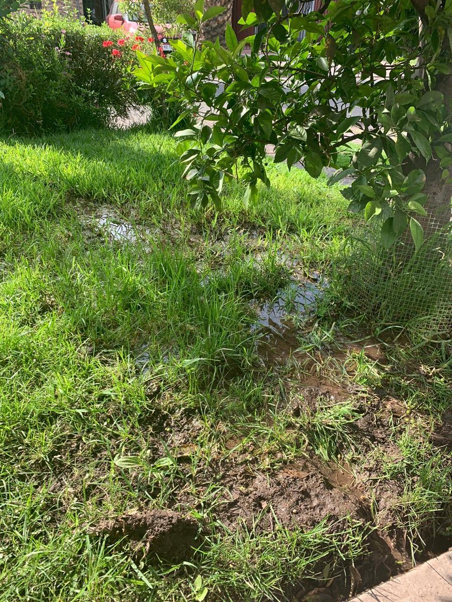 Fe7ipe's tweet photo. @SMAPA_MAIPU ya van 2 meses desde que nos dijeron que van “en ruta” a reparar una fuga de agua en @lasatelitemaipu 

Cuánto mas tendremos que esperar? Se está desperdiciando mucha agua. https://t.co/27fw3InRUm
