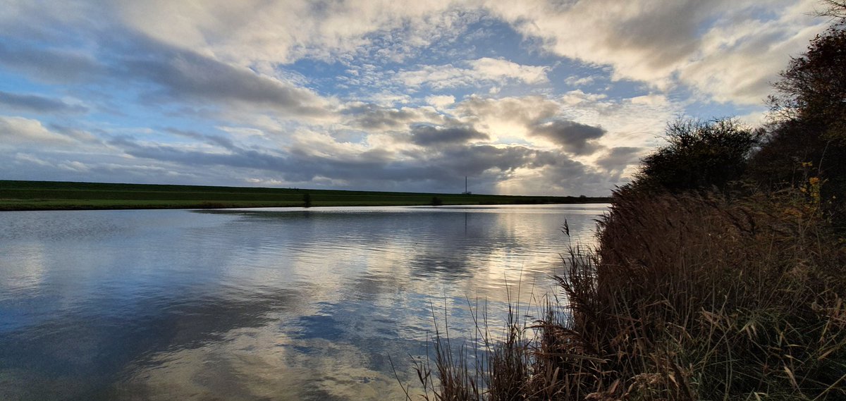 Havenlust's tweet photo. https://t.co/Wzx2VaQ39m
