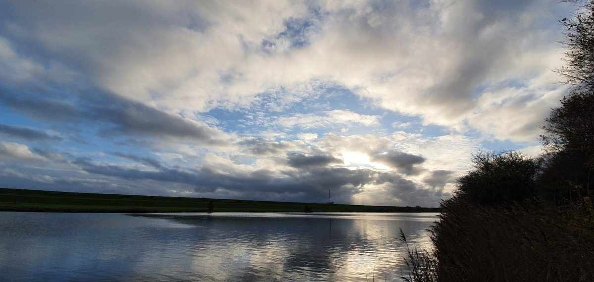 Havenlust's tweet photo. https://t.co/Wzx2VaQ39m
