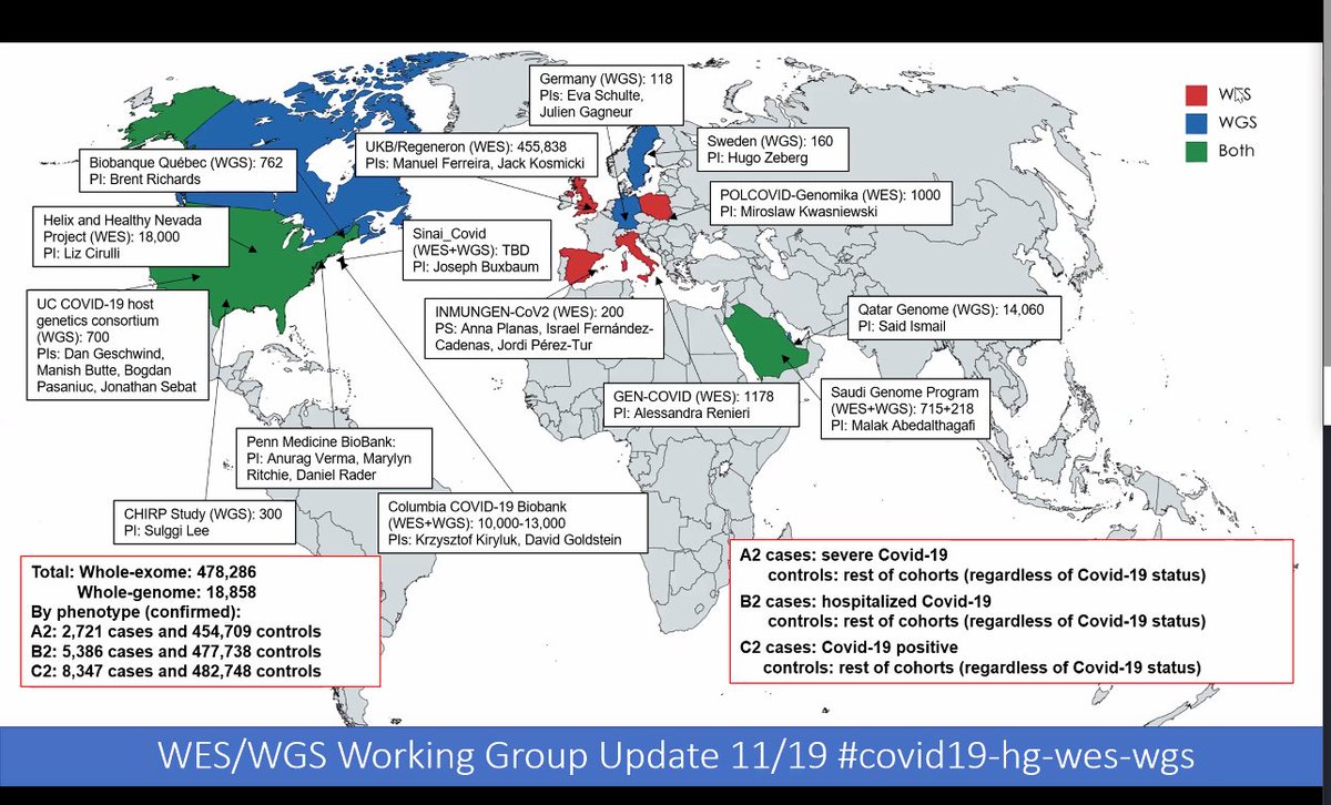 COVID-19 Host Genetics Initiative tweet media