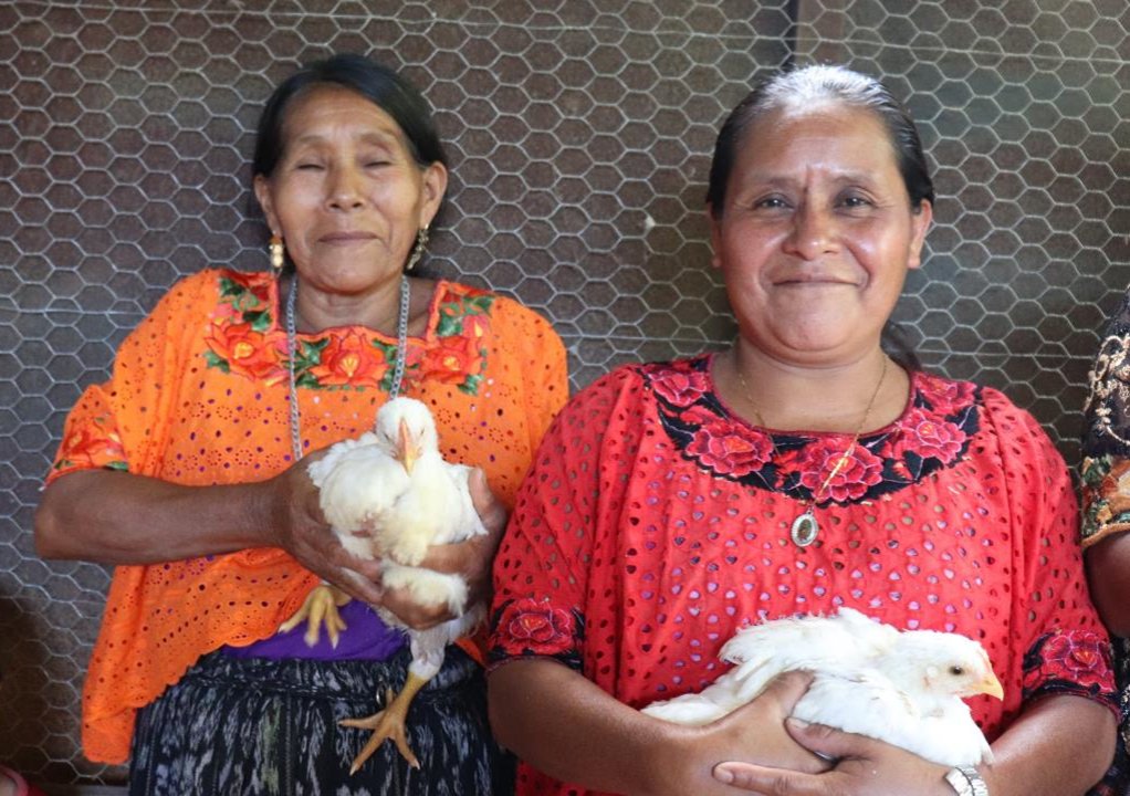 El proyecto de <a href="/AGEXPORTGT/">AGEXPORT</a>  “Nuevas esperanzas para las mujeres de la comunidad Rubel Choq (Bajo las nubes)” es ganador de la categoría APOYO A LA MUJER EMPRESARIA en el marco del cierre del Programa <a href="/AL_invest5/">AL-Invest 5.0</a> Es una de las comunidades más afectadas por las tormentas Eta/Iota