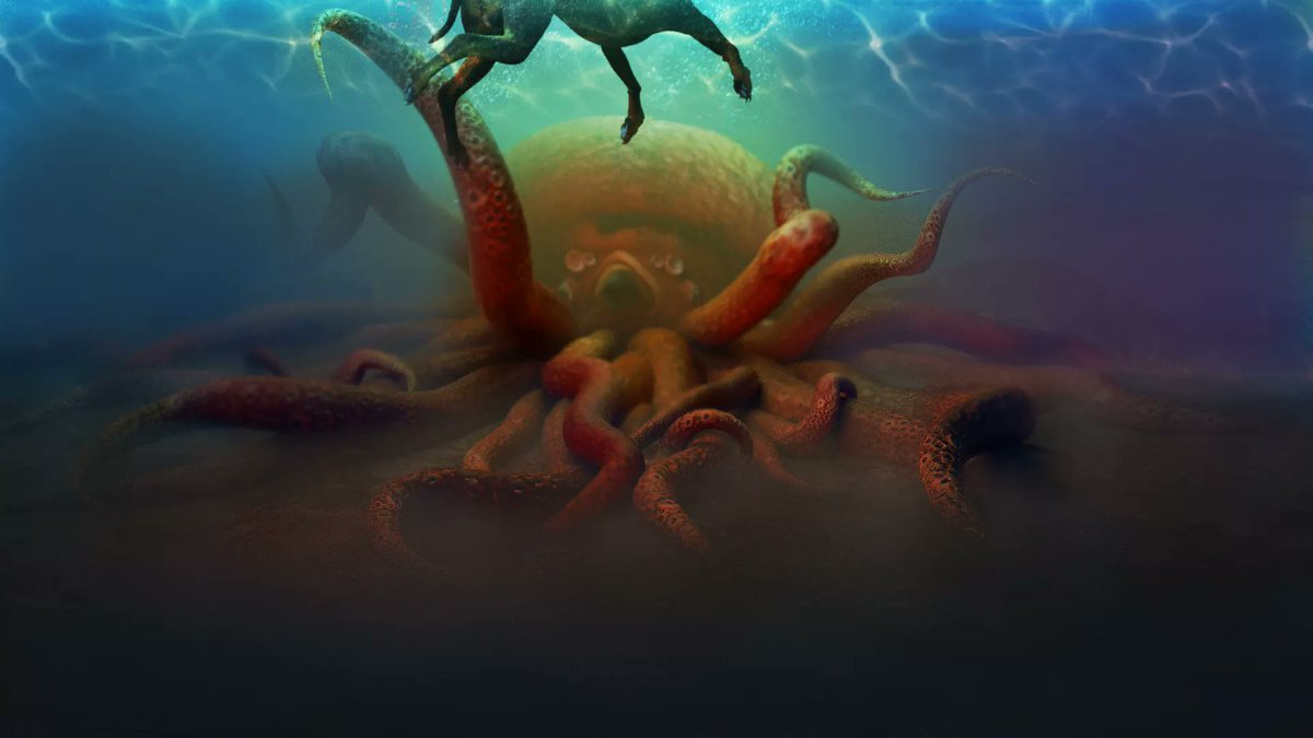 Michael Murray tweet media