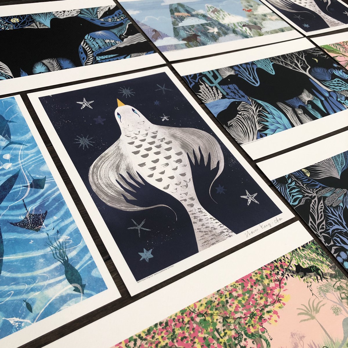 SharonKingChai's tweet photo. I'm really excited to be jumping aboard the brilliant #SignForOurBookShops campaign. If you're a bookshop and would like some signed bookplates for #Starbird #CountingCreatures or #Animalphabet - pls do message me. I have a limited number of Starbird prints too
⭐️🕊⭐️🕊⭐️🕊⭐️🕊⭐️ https://t.co/nIzzcud6BW