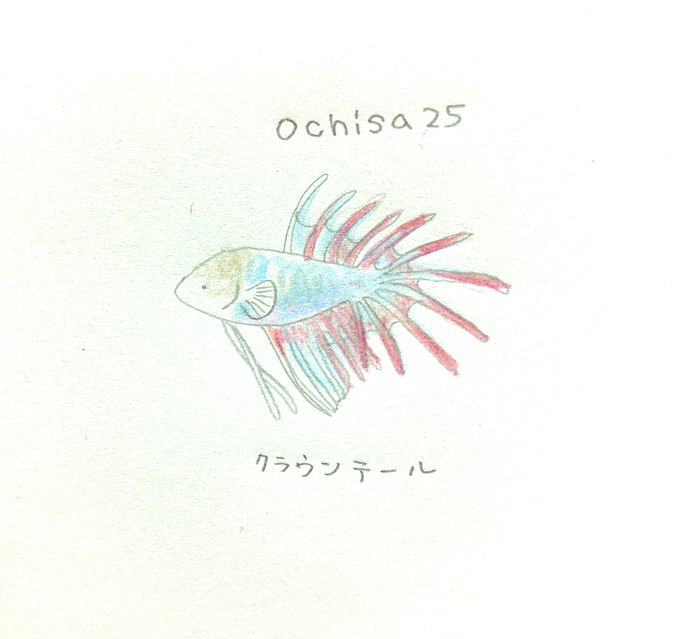 お魚のtwitterイラスト検索結果 古い順