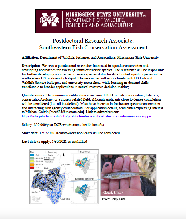 MidSized_Rivers's tweet photo. Please RT. Interested in freshwater conservation &amp; decision making? Mississippi State has at least 10 months of postdoc funding to join our team developing standardized approaches for evaluating imperilment of southeastern freshwater species. More info: https://t.co/WVVbF43ONx https://t.co/mp0JWki8wS
