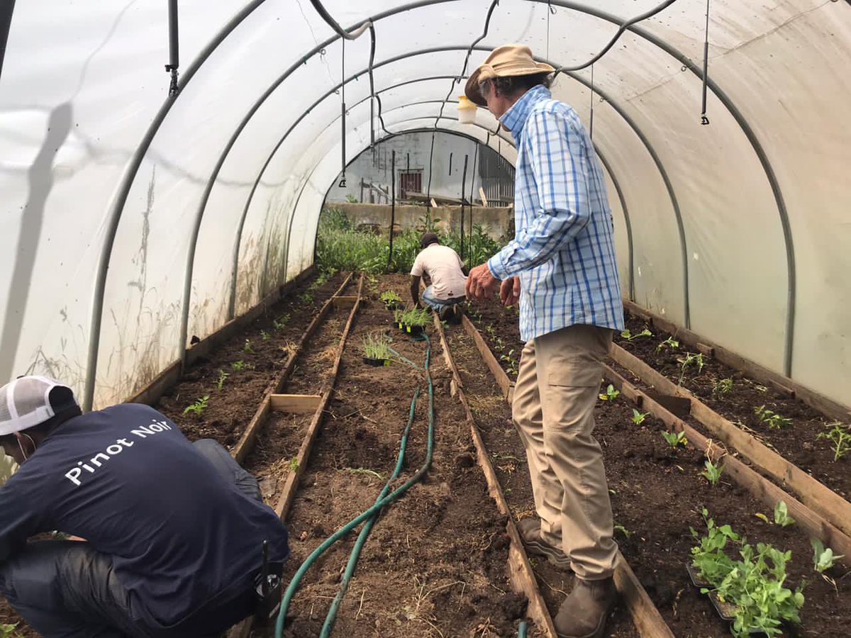 creationwines's tweet photo. Today we spent some time Planting the biodynamic garden at @PebblesProject Academy Hemel-en-Aarde! ๐ฑ๐ฟ๐๐พ๐ป
#givingback #community #localcommunity #PebblesProject #hemelenaarde https://t.co/qr5BNNoJX7