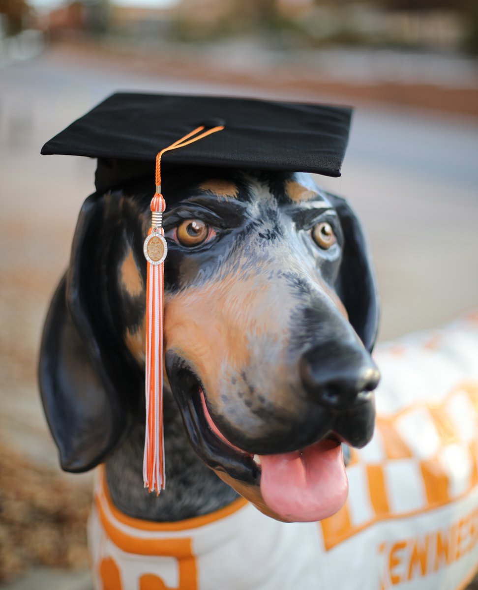 UT_Herbert's tweet photo. Our spring 2019, summer 2020, and fall 2020 graduates are only 1 day away from their very own in-person commencement ceremony! ๐โ
โ
Join as we celebrate their accomplishments through our story by using #HerbertGrad and tagging @ut_herbert โ https://t.co/UTIXnRBtsk