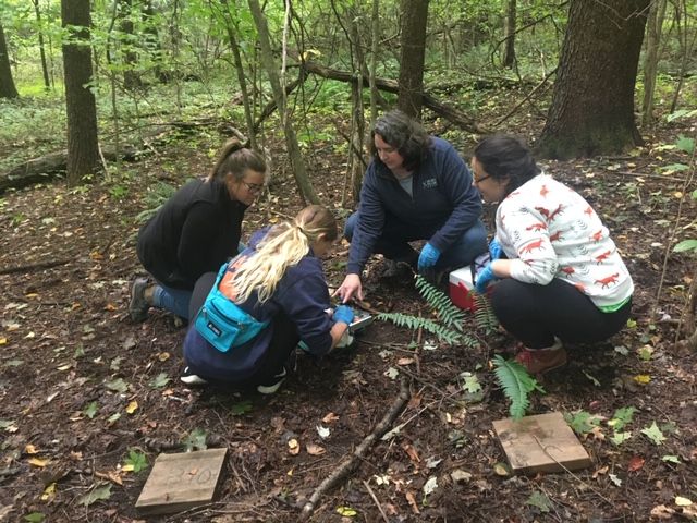 Astro_Cady's tweet photo. Let’s talk about passionate teachers igniting curiosity in learning--Here is a photo of @GfldCommCollege professors & students out in the field finding a salamander of a rare color morph this fall! Thanks to Prof. Amanda Hyde for the photo!
#ThisIsGCC #GCCSTEM #CuriosityVoyage https://t.co/7z3d9E1z68
