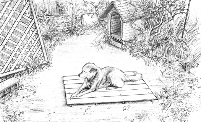 2013年5月に描いた犬の絵を見つけた
懐かしくてかわいい 