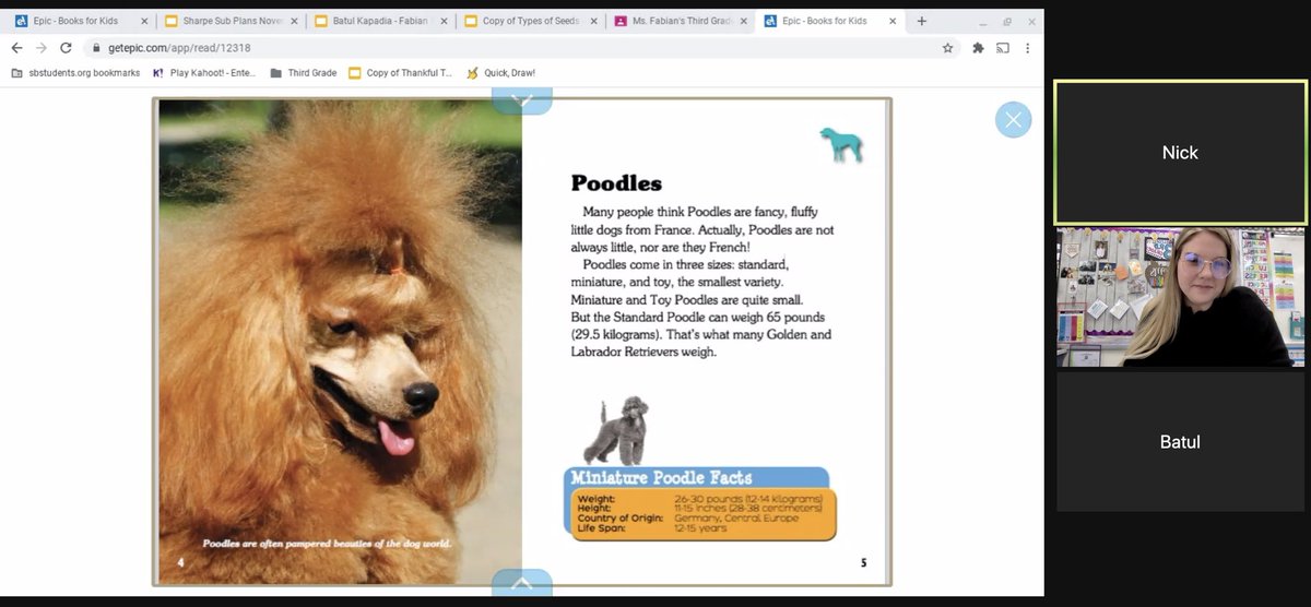 Mrs. Stover tweet media