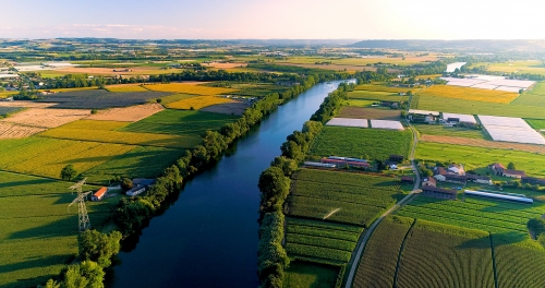 INRAE_OC_MPL's tweet photo. Projet #METABIO sur les #vinsbiologiques et les #cépagesrésistants, le #microbiote des baies et les fermentations spontanées en bio et zéro phyto
coordonné par @INRAE_OCC_MPL : Cécile Neuvéglise #UMR_SPO et Evelyne Aguera #UE_PechRouge
https://t.co/V8ZOdDJz97 https://t.co/gDPxl5JLnq
