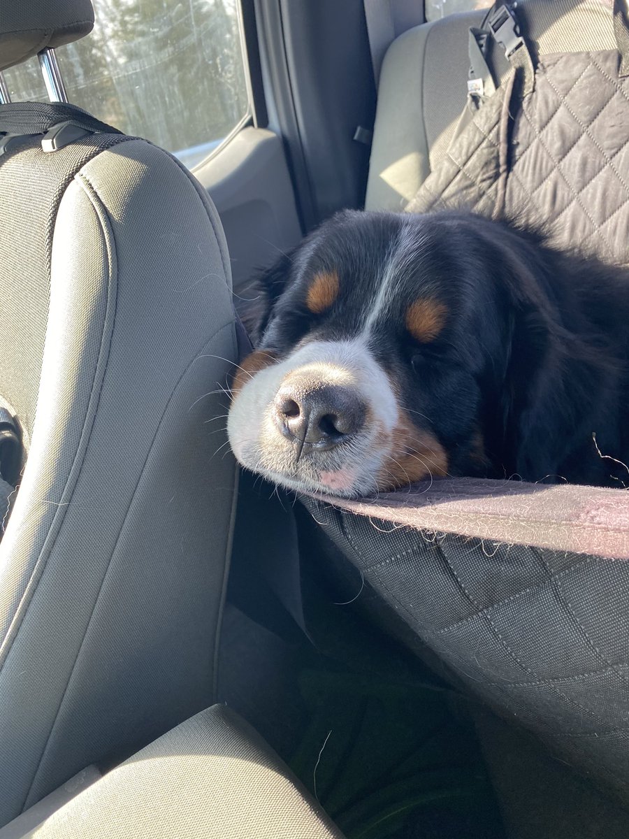 Got a new coworker today!