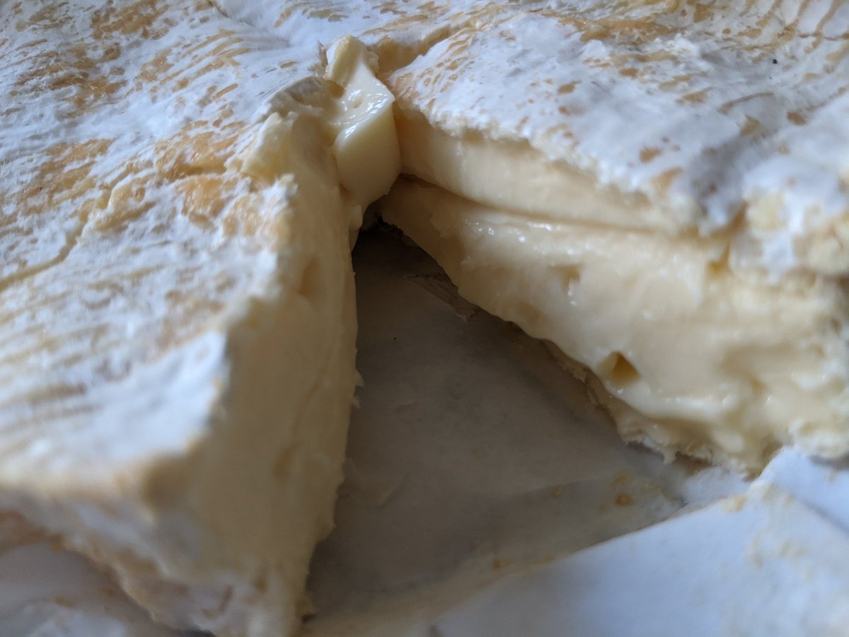 Andrew Stevenson tweet media