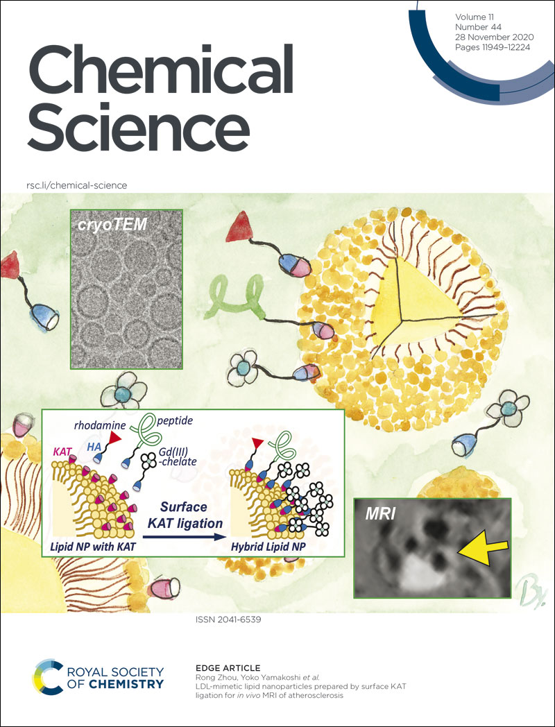 ChemicalScience's tweet photo. Rong Zhou, Yoko Yamakoshi @YamakoshiG et al.'s latest article is on our inside front cover this week 😃

Read it today! ⬇️
LDL-mimetic lipid nanoparticles prepared by surface KAT ligation for in vivo MRI of atherosclerosis 🔗 https://t.co/NUhZ8TgsNP
#ChemSciCovers @ETH_DCHAB https://t.co/cQneuhuZqu