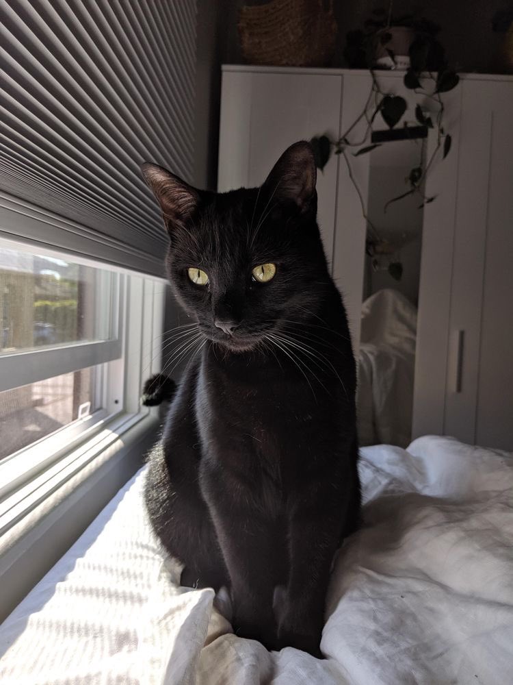 tranquility base hotel & casino