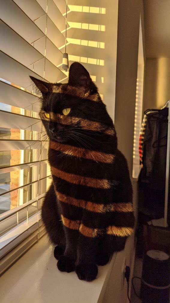 tranquility base hotel & casino