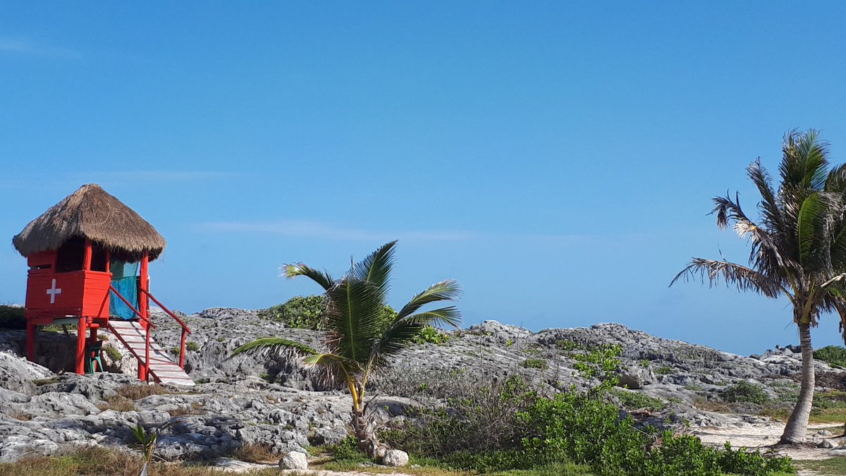 Subo esta foto para que no crean que TODOS mis twits son para quejarme del PÉSIMO servicio de <a href="/TELMEXSoluciona/">Telmex Soluciona</a>