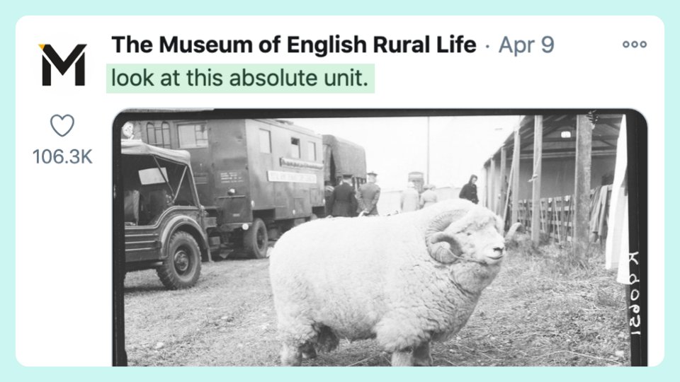 7/ Casual contentDon't complicate it. Most people just want some light entertainment.