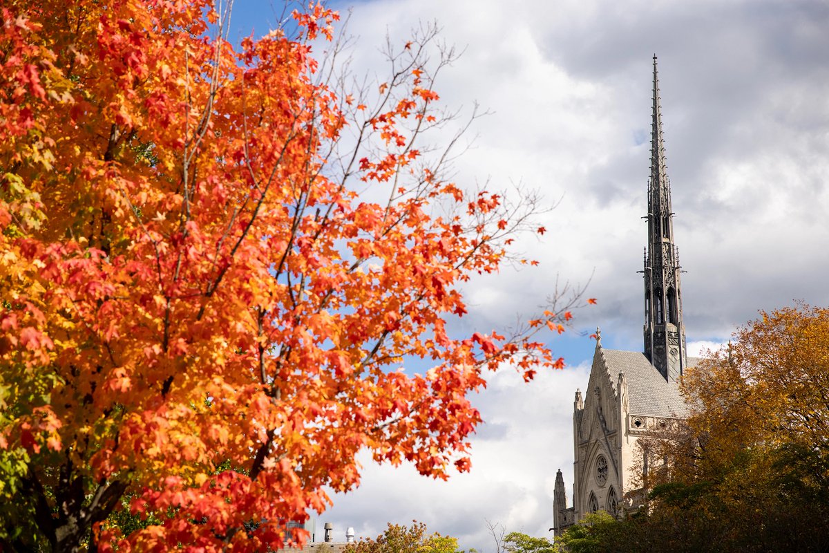 PittTweet's tweet photo. A little something to brighten up your day, Panthers! #H2P 🍂 🍁 https://t.co/rMTJt0TCUu