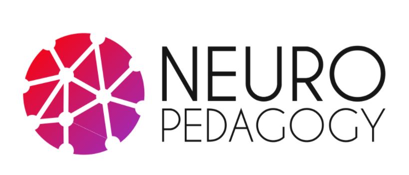 AnnaTolosaG's tweet photo. NEUROPEDAGOGY project has just begun and I can't be happier to be part representing @fue_uji. Together with @uni_ruse, @upatras, @WSBINOZmedyk, @hogeschoolUCLL, and #INNETICA we will train higher education lecturers in an innovative didactic method, based on Neuroscience!🧠✨ https://t.co/lc5mBdlqVc