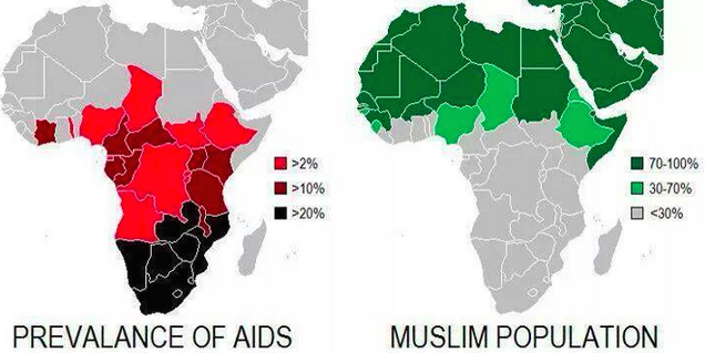 aids and muslim population. trying and failing to find general rates of promiscuity and STDs in MENA regions.