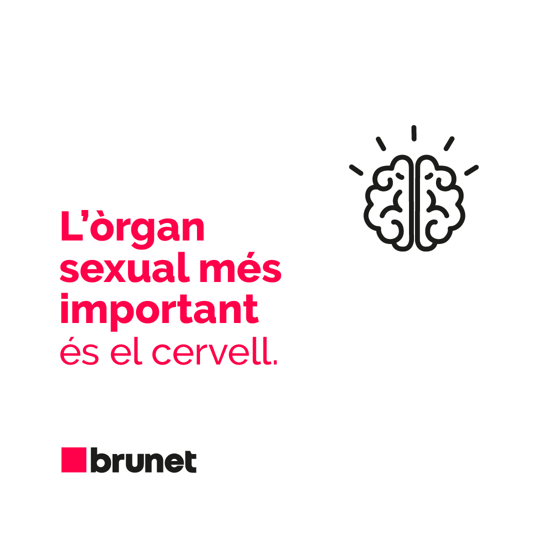 Brunet Publicitat & Digital Marketing tweet media